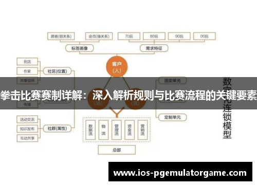 拳击比赛赛制详解：深入解析规则与比赛流程的关键要素