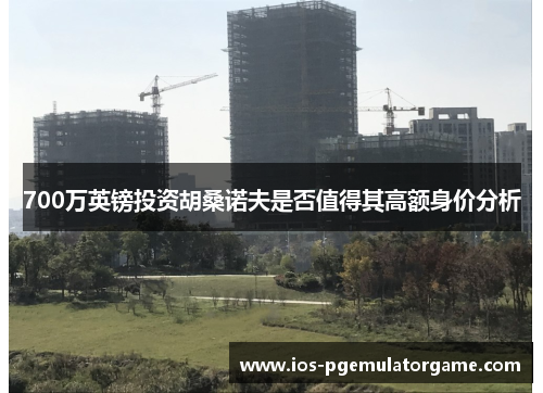 700万英镑投资胡桑诺夫是否值得其高额身价分析