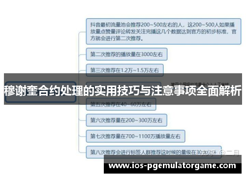 穆谢奎合约处理的实用技巧与注意事项全面解析