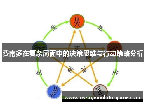 费南多在复杂局面中的决策思维与行动策略分析