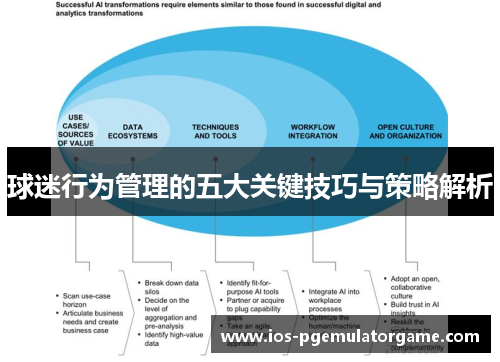 球迷行为管理的五大关键技巧与策略解析