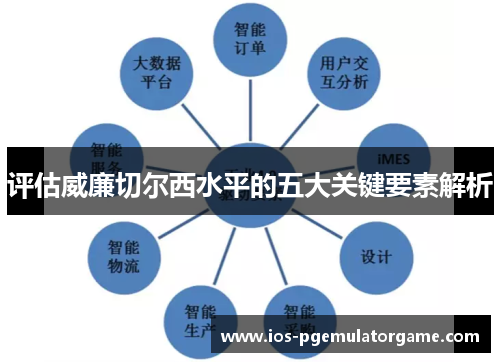 评估威廉切尔西水平的五大关键要素解析
