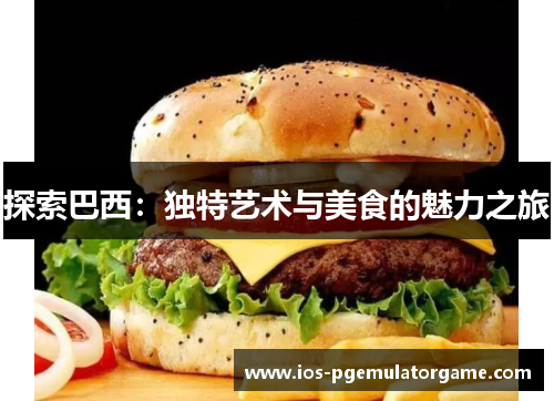 探索巴西：独特艺术与美食的魅力之旅