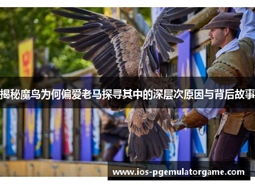 揭秘魔鸟为何偏爱老马探寻其中的深层次原因与背后故事