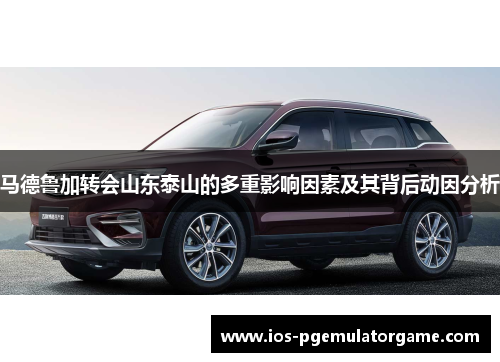 马德鲁加转会山东泰山的多重影响因素及其背后动因分析