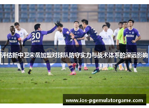 评估新中卫宋岳加盟对球队防守实力与战术体系的深远影响