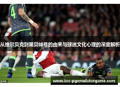 从维尔贝克到黑贝绰号的由来与球迷文化心理的深度解析 从维尔贝克到黑贝绰号的由来与球迷文化心理的深度解析