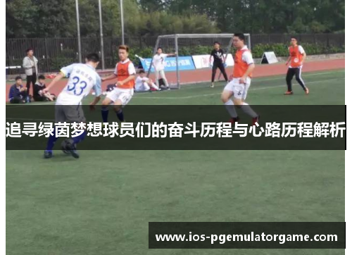 追寻绿茵梦想球员们的奋斗历程与心路历程解析