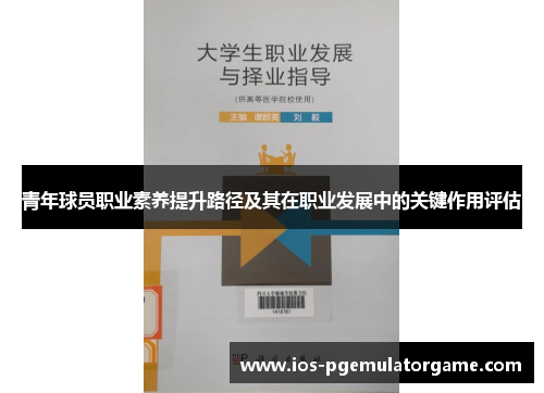 青年球员职业素养提升路径及其在职业发展中的关键作用评估