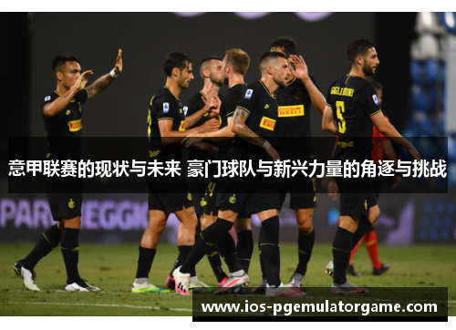 意甲联赛的现状与未来 豪门球队与新兴力量的角逐与挑战 意甲联赛的现状与未来 豪门球队与新兴力量的角逐与挑战