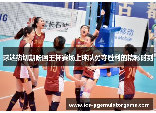 球迷热切期盼国王杯赛场上球队勇夺胜利的精彩时刻 球迷热切期盼国王杯赛场上球队勇夺胜利的精彩时刻