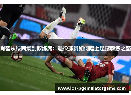 肖智从绿茵场到教练席:退役球员如何踏上足球教练之路 肖智从绿茵场到教练席:退役球员如何踏上足球教练之路