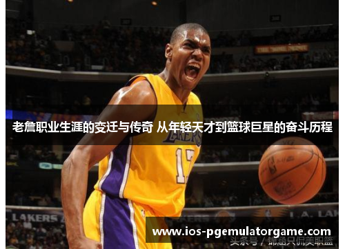 老詹职业生涯的变迁与传奇 从年轻天才到篮球巨星的奋斗历程